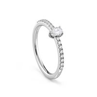Anneau Salvini Femme Classico in Or blanc 20102699 - 20102699